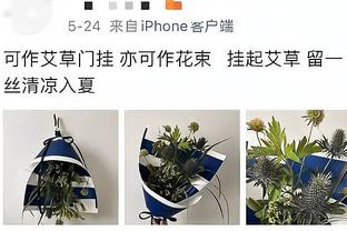 记者：鲁梅尼格和明茨拉夫从德国足协特别工作组辞职